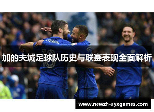 加的夫城足球队历史与联赛表现全面解析