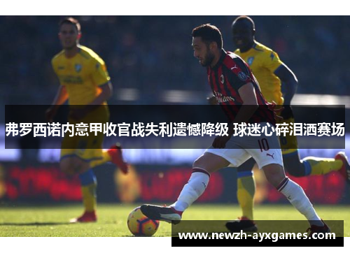 弗罗西诺内意甲收官战失利遗憾降级 球迷心碎泪洒赛场